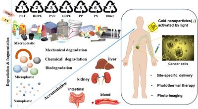 Toxicity of gold nanoparticles complicated by the co-existence multiscale plastics